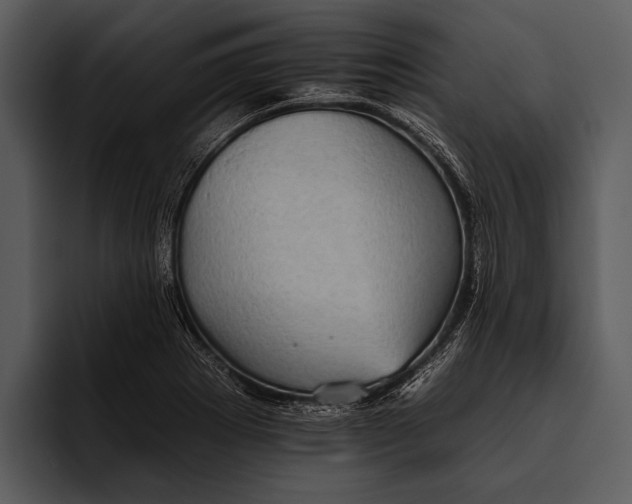 X0000095671273200801291129