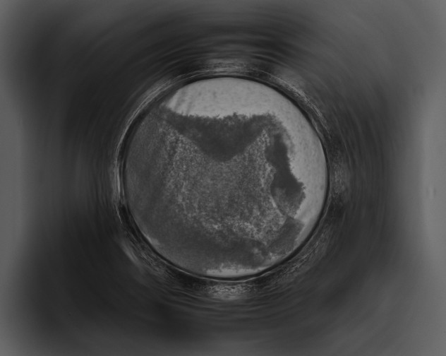 X0000095671274200801291129