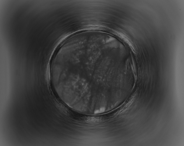 X0000095671275200801291129