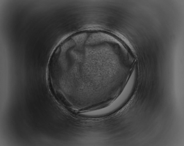 X0000095671277200801291129