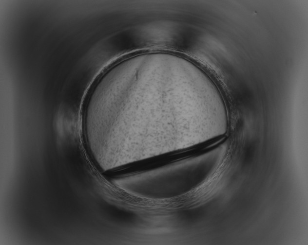 X0000095671280200801291129