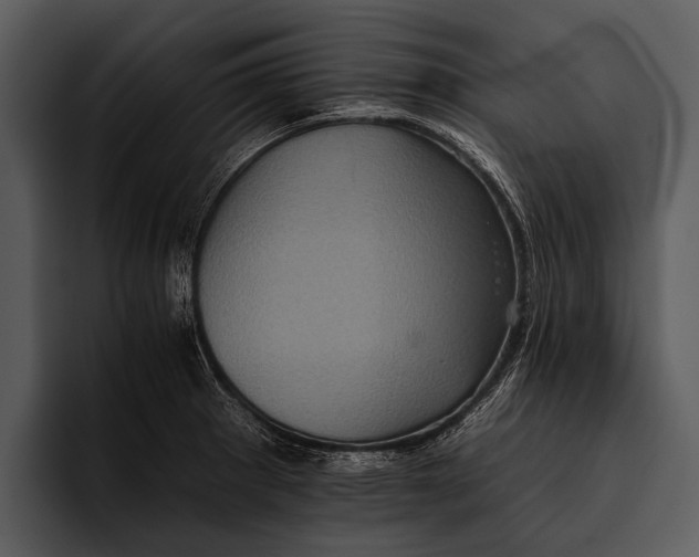 X0000095671281200801291129