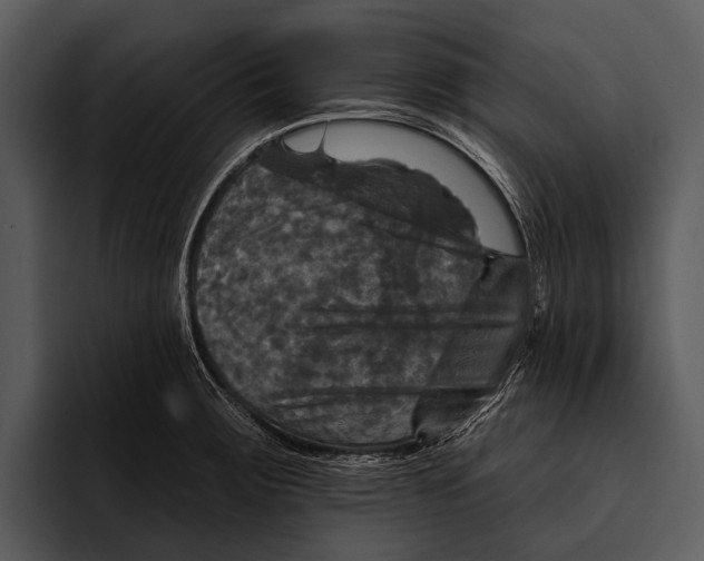 X0000095671283200801291129