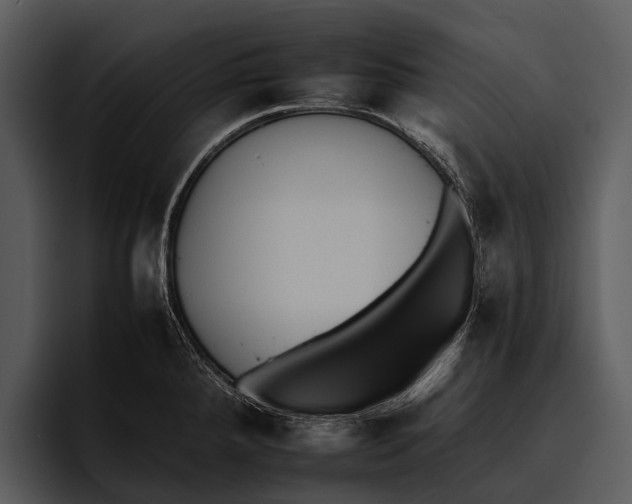 X0000095671288200801291129