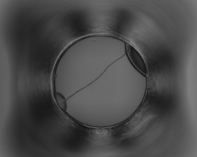 X0000095671291200801291129