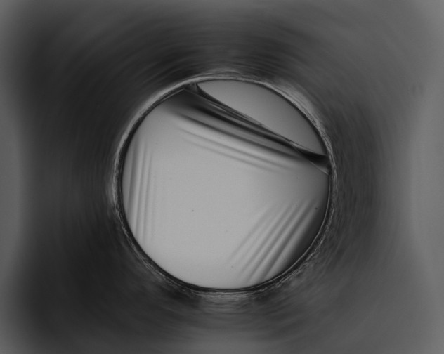 X0000095671296200801291129