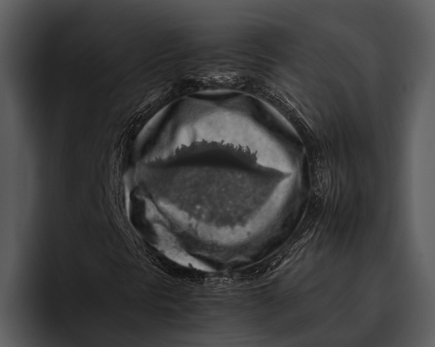 X0000095671297200801291128