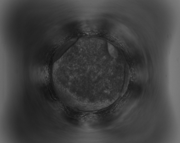 X0000095671298200801291129