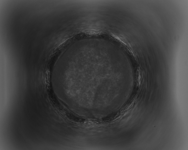 X0000095671301200801291129