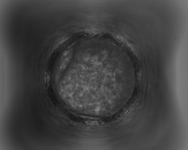 X0000095671302200801291129