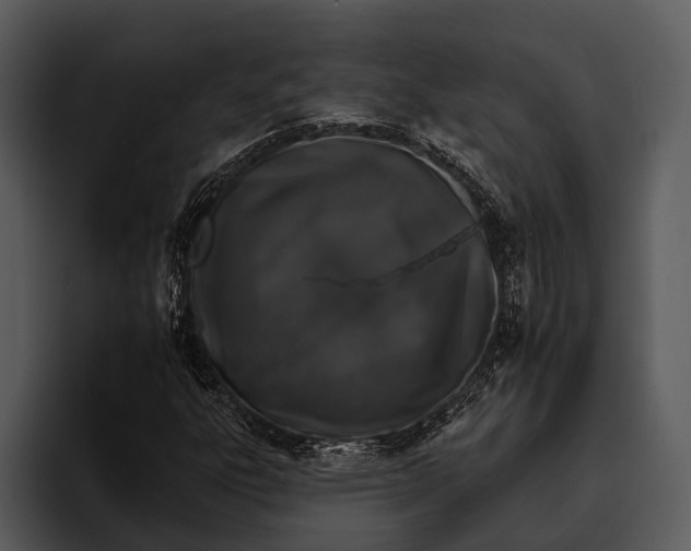 X0000095671303200801291129