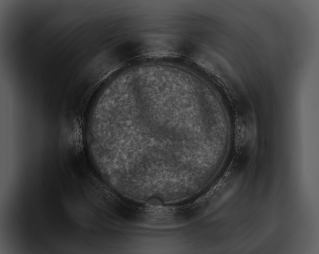 X0000095671305200801291129