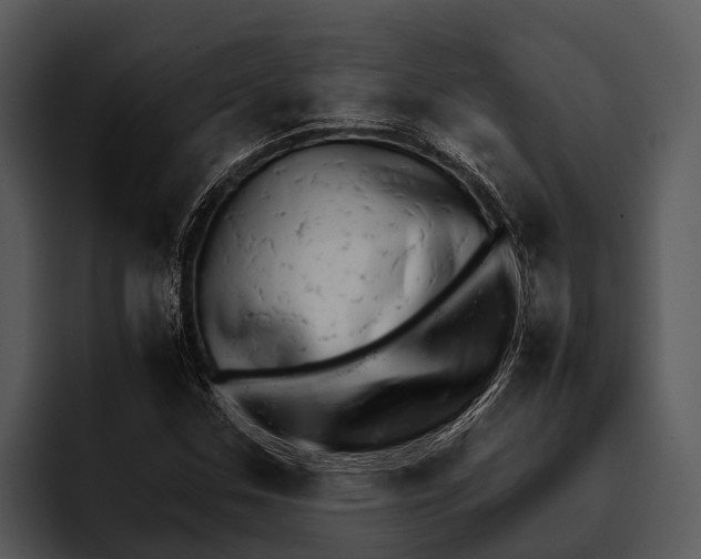 X0000095671307200801291129