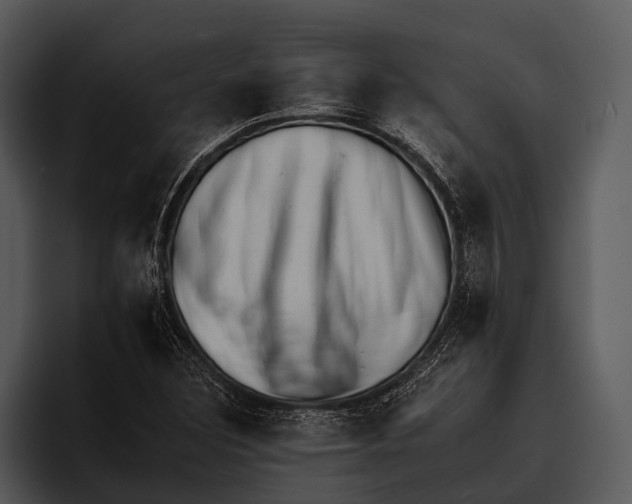 X0000095671308200801291129