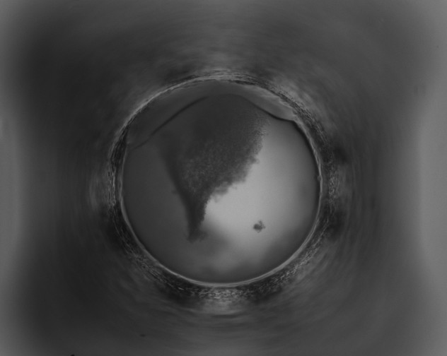 X0000095671310200801291129