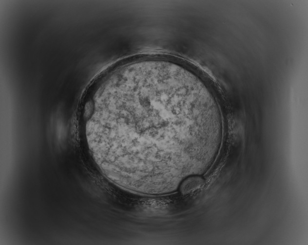 X0000095671311200801291129