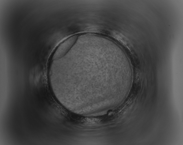 X0000095671312200801291129