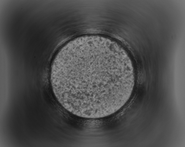 X0000095671314200801291129