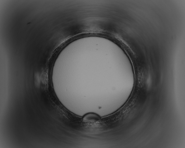 X0000095671315200801291129