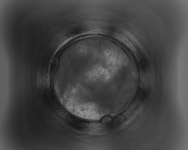 X0000095671316200801291129