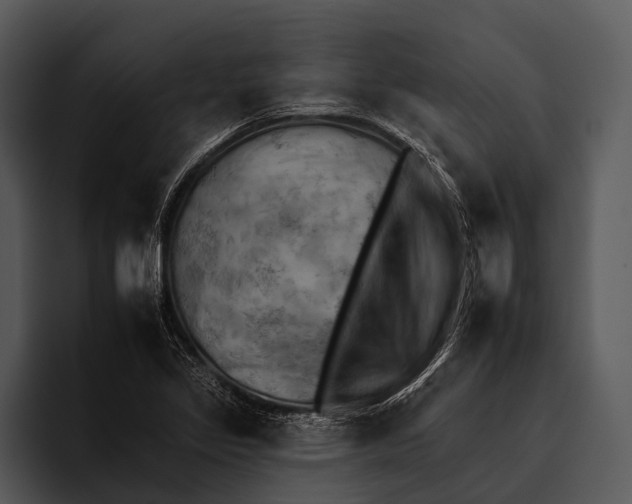 X0000095671317200801291129