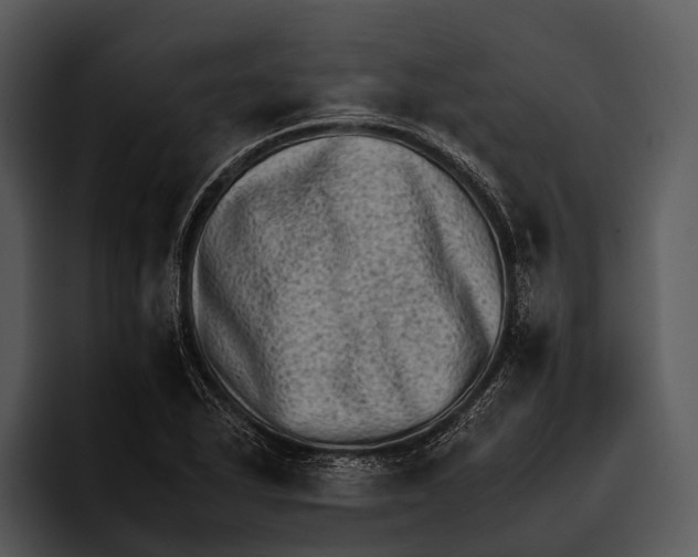 X0000095671318200801291129