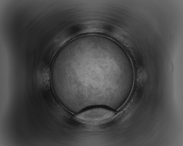 X0000095671321200801291129