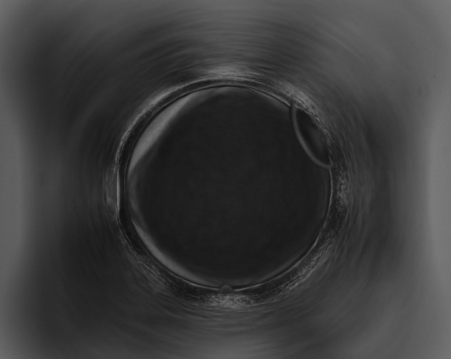 X0000095671323200801291129