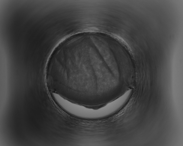 X0000095671326200801291129