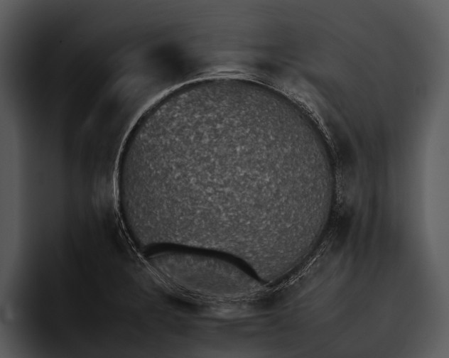 X0000095671328200801291129