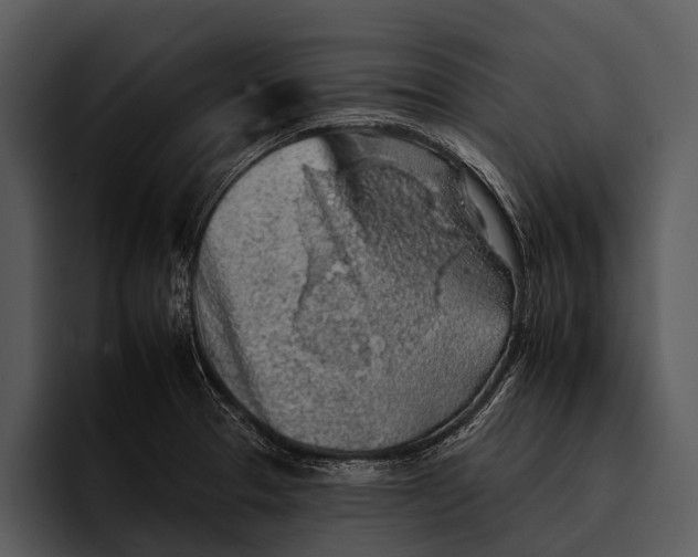 X0000095671329200801291129