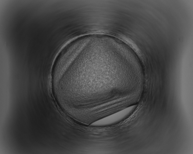 X0000095671332200801291129