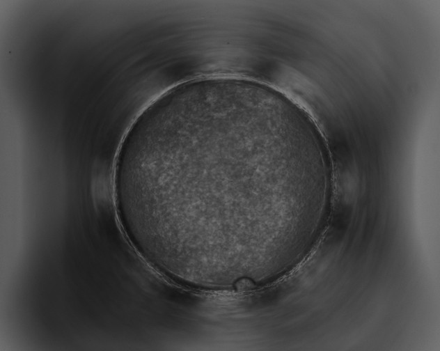 X0000095671333200801291129