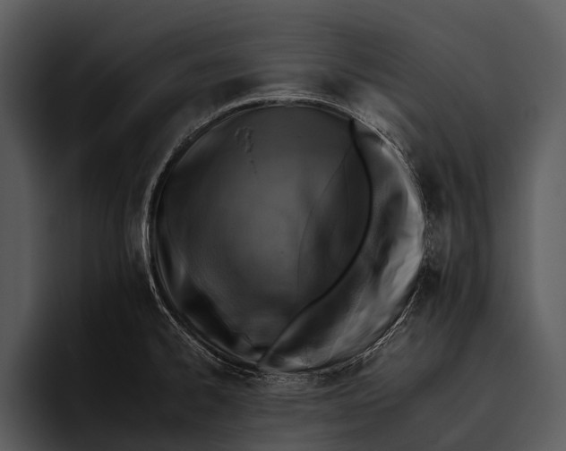 X0000095671334200801291129