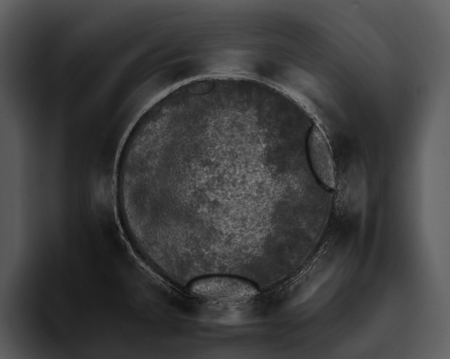 X0000095671335200801291129