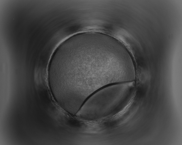 X0000095671336200801291129