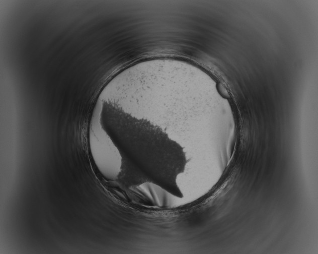 X0000095671337200801291129