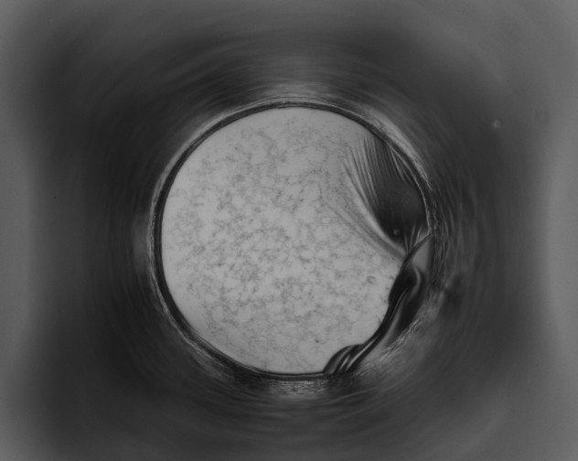 X0000095671339200801291129