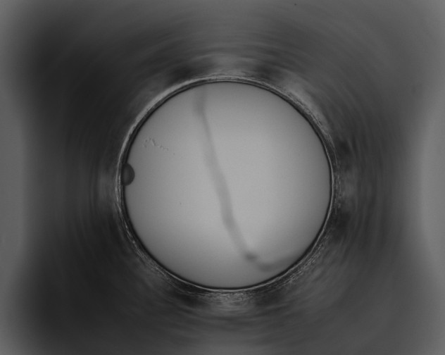 X0000095671340200801291129