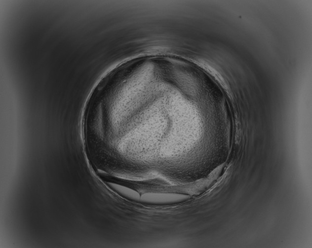 X0000095671342200801291129