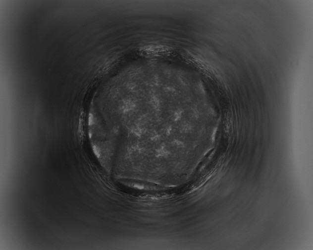 X0000095671346200801291128