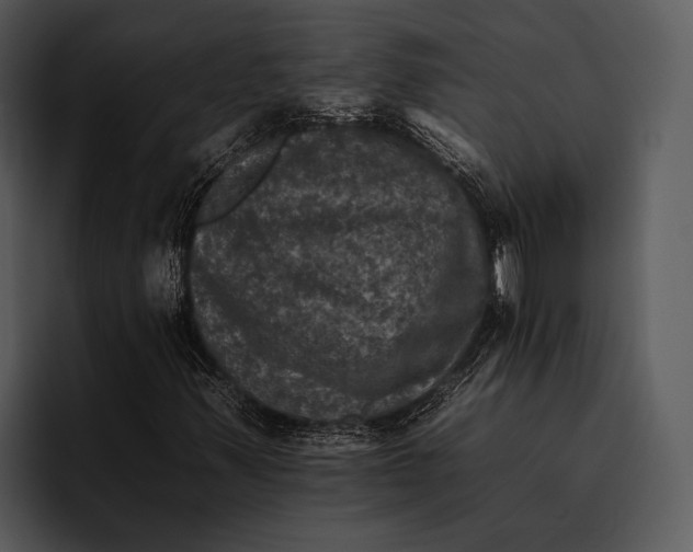 X0000095671347200801291128