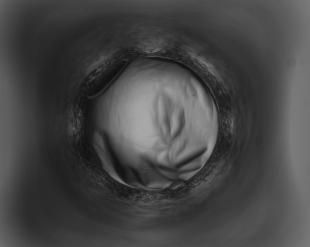 X0000095671349200801291128