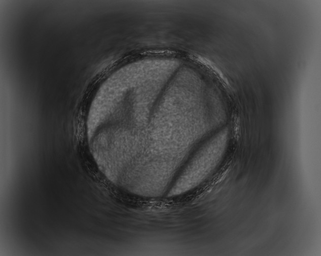 X0000095671350200801291128