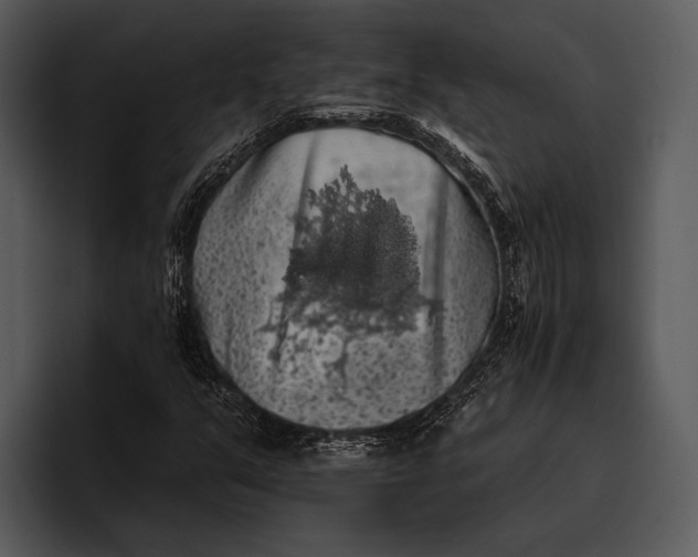 X0000095671351200801291128