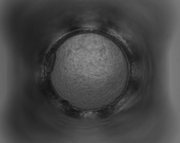 X0000095671352200801291128