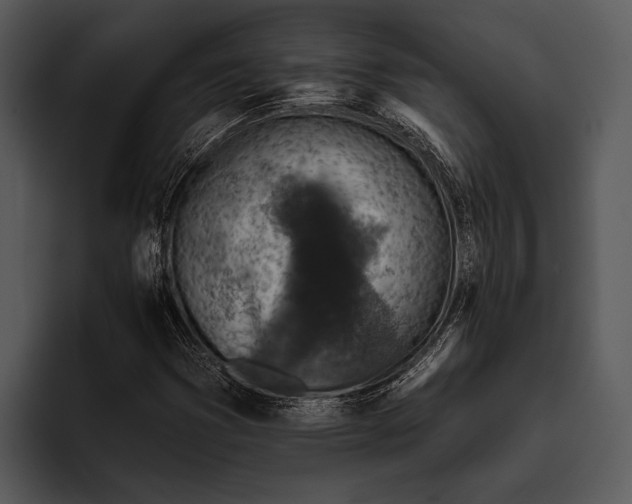 X0000095671353200801291128