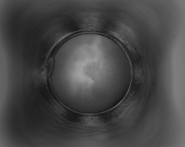 X0000095671356200801291128