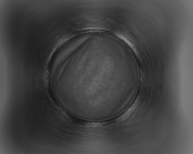 X0000095671357200801291128