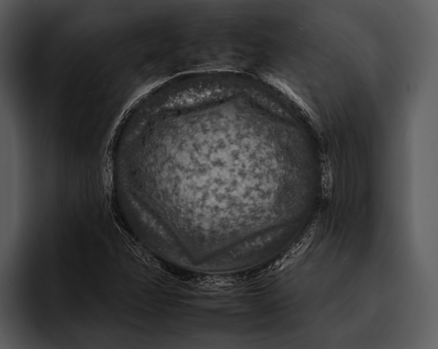 X0000095671358200801291128